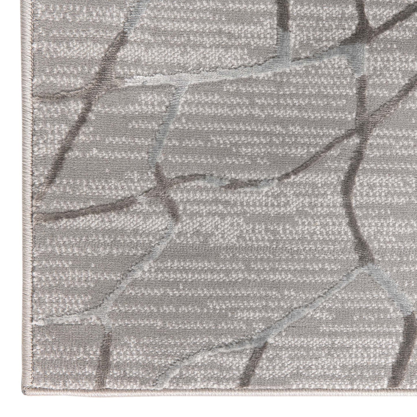 Narcissus 2322 Grey