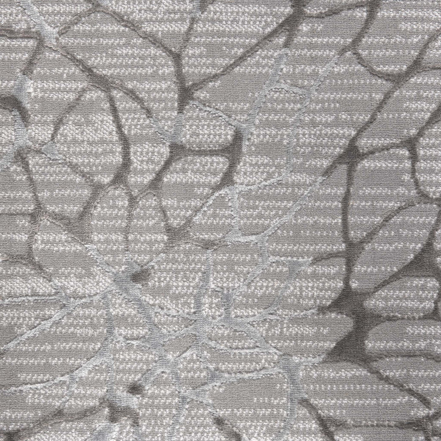 Narcissus 2322 Grey Round