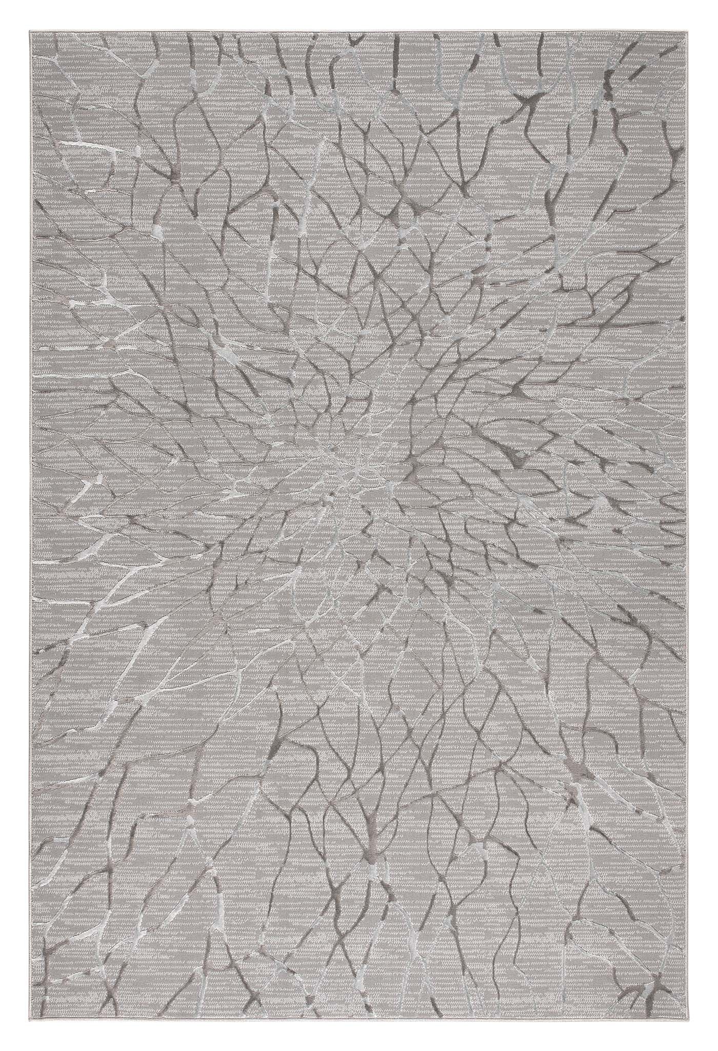 Narcissus 2322 Grey