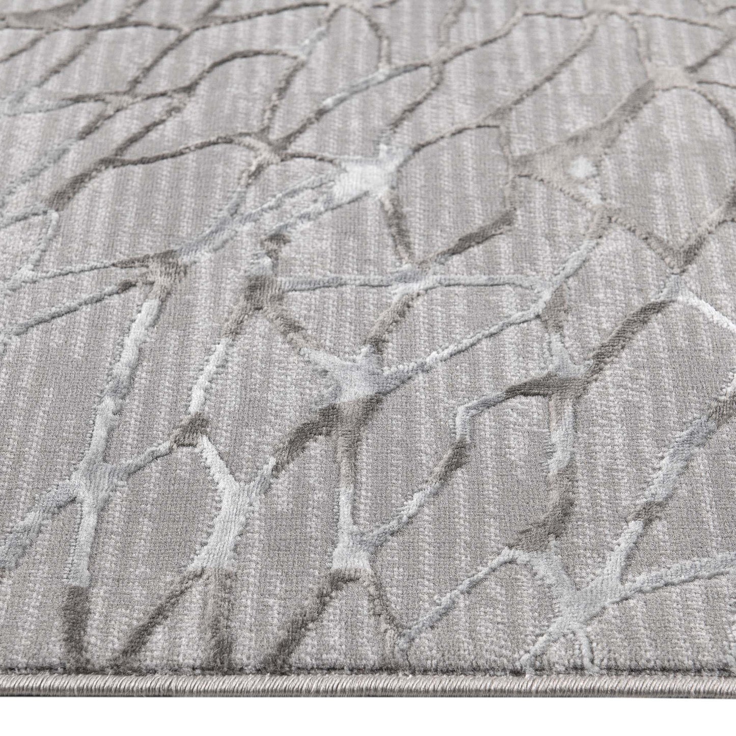 Narcissus 2322 Grey Round