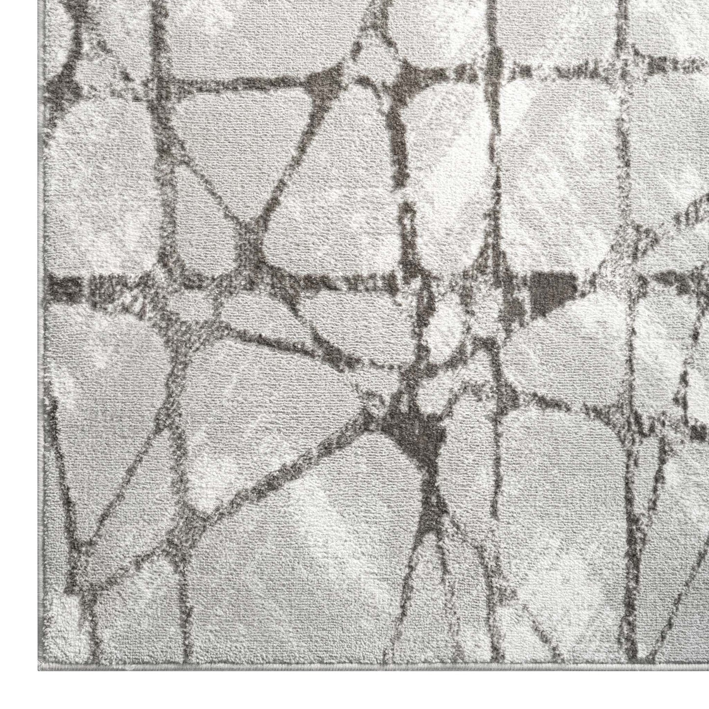 Narcissus 2694 Grey