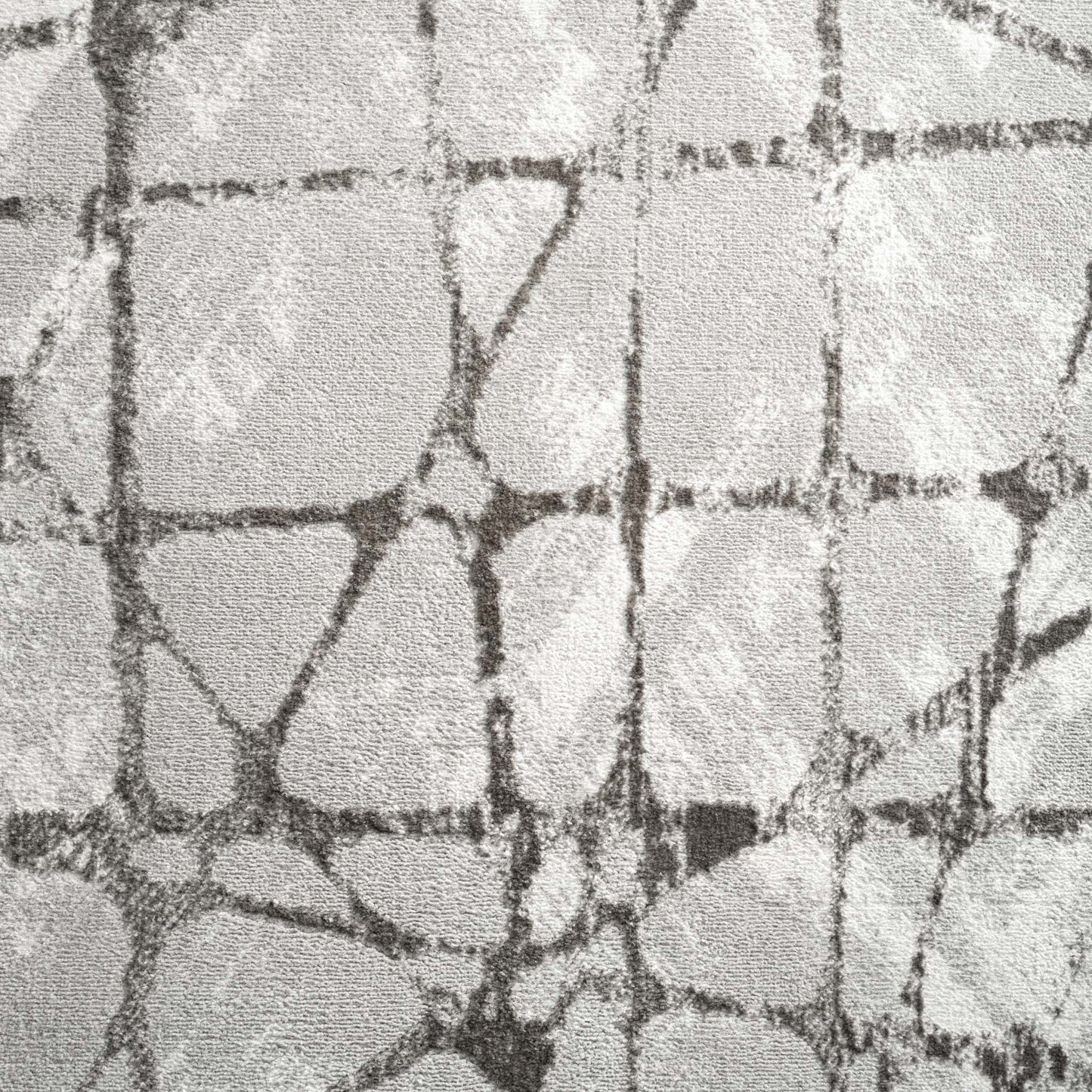 Narcissus 2694 Grey