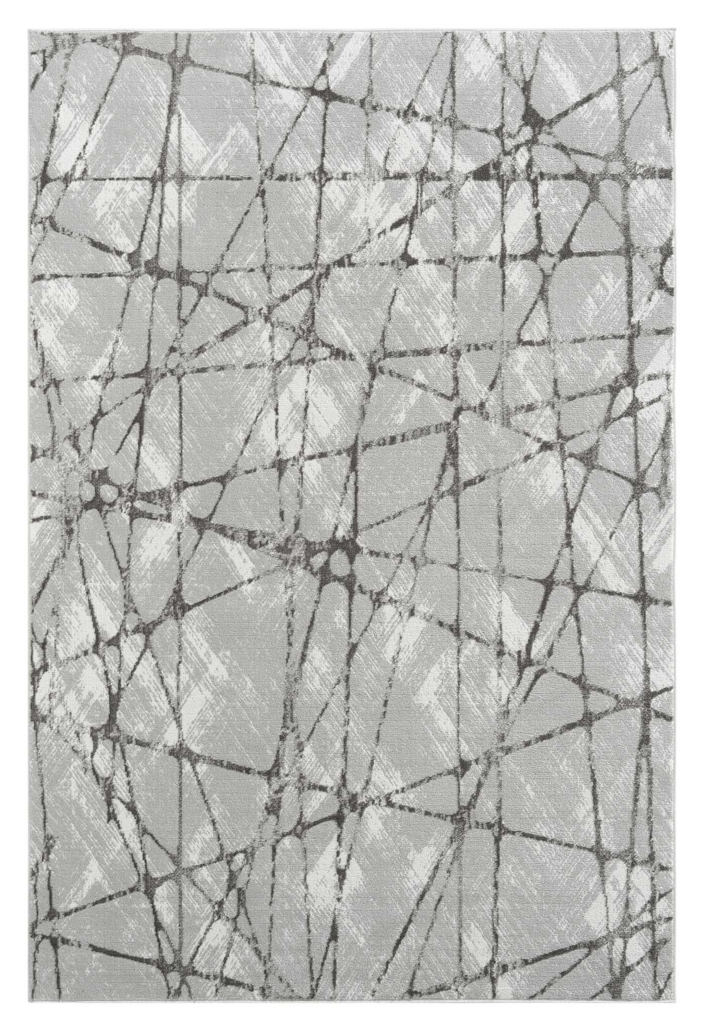 Narcissus 2694 Grey