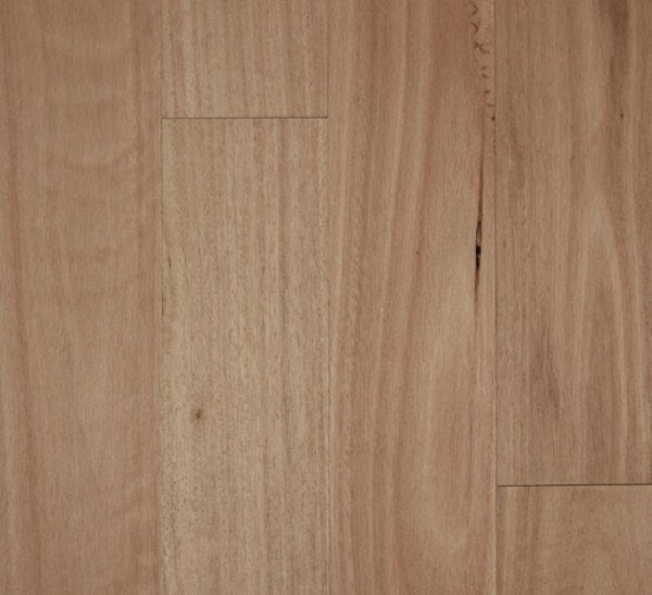 Timber Fiddleback - 13/2 BLACKBUTT, MB SMOOTH