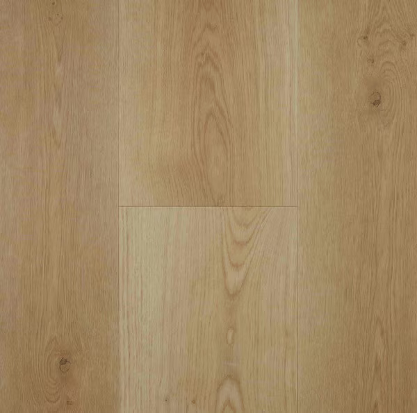 Hybrid Lifestyle Collection - Blissful