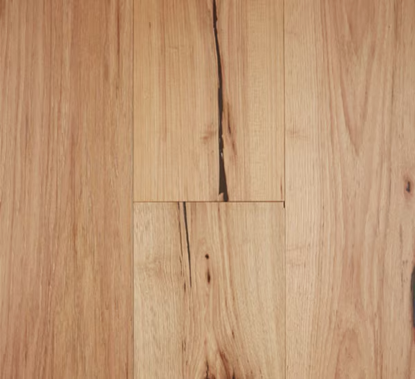 Timber Elk Falls - Natural