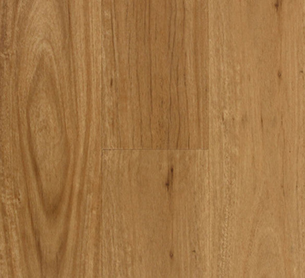 Hybrid Aspire - Coastal Blackbutt 8mm