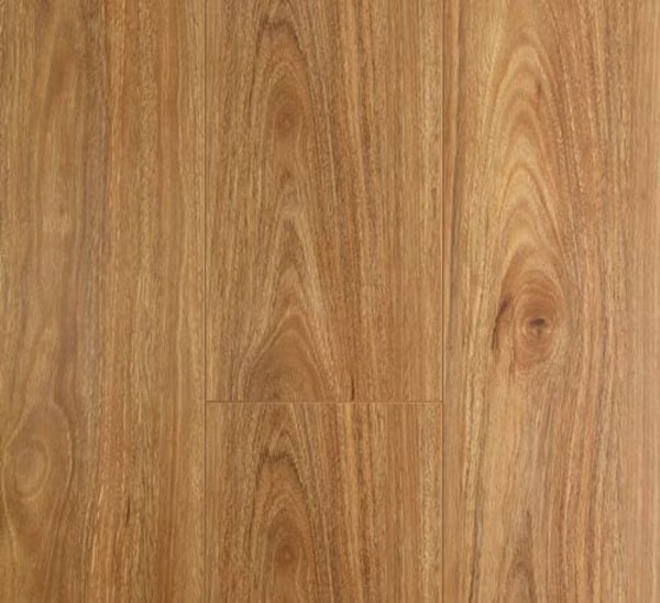 Laminate -Oakleaf 8mm - OL SPOTTED GUM