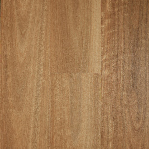 HYBRID ICONIC - Spotted Gum