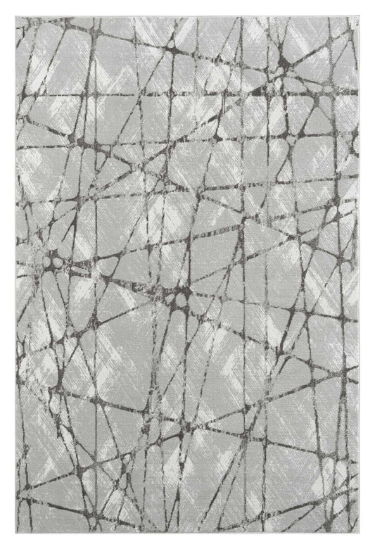 Narcissus 2694 Grey