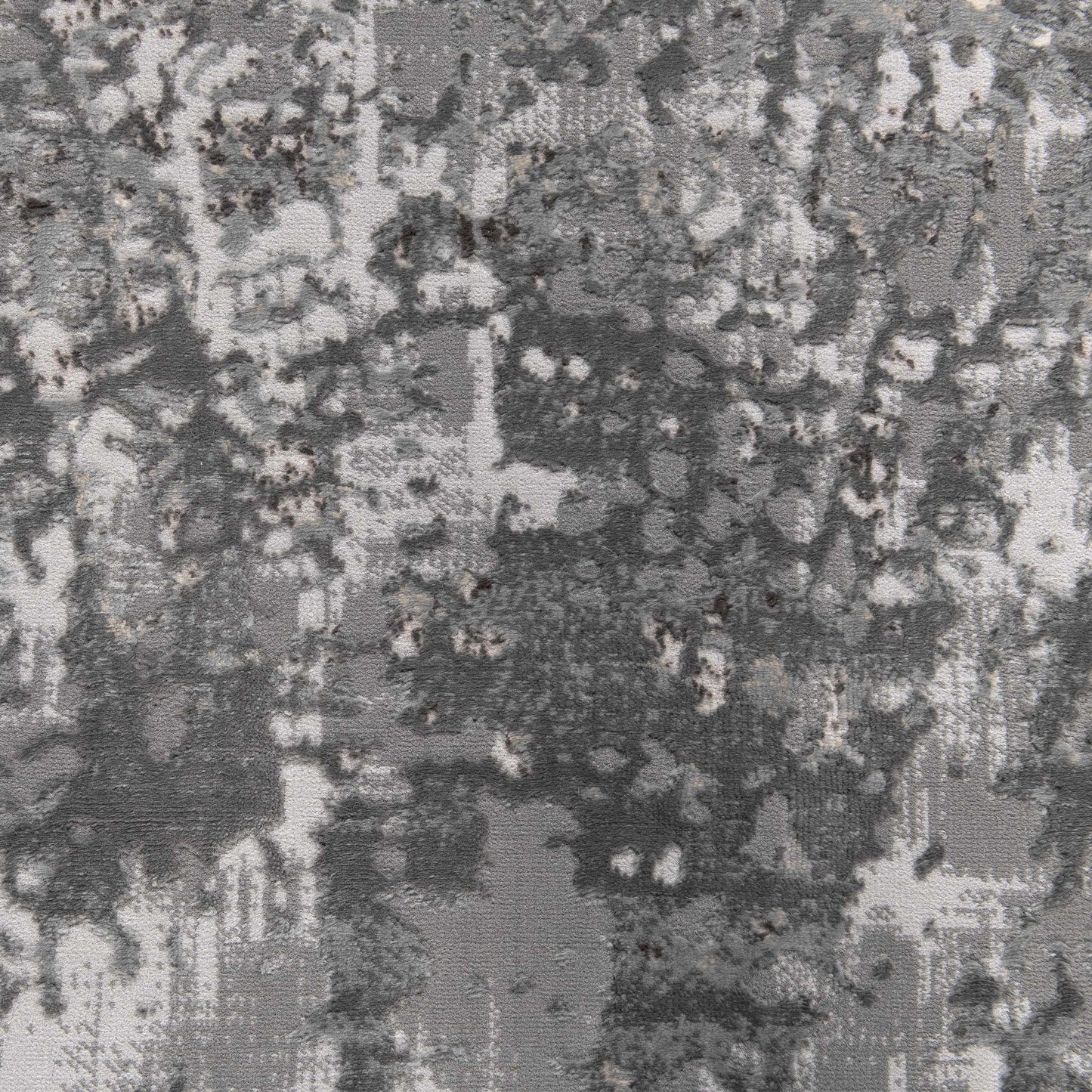 Narcissus 2728 Grey
