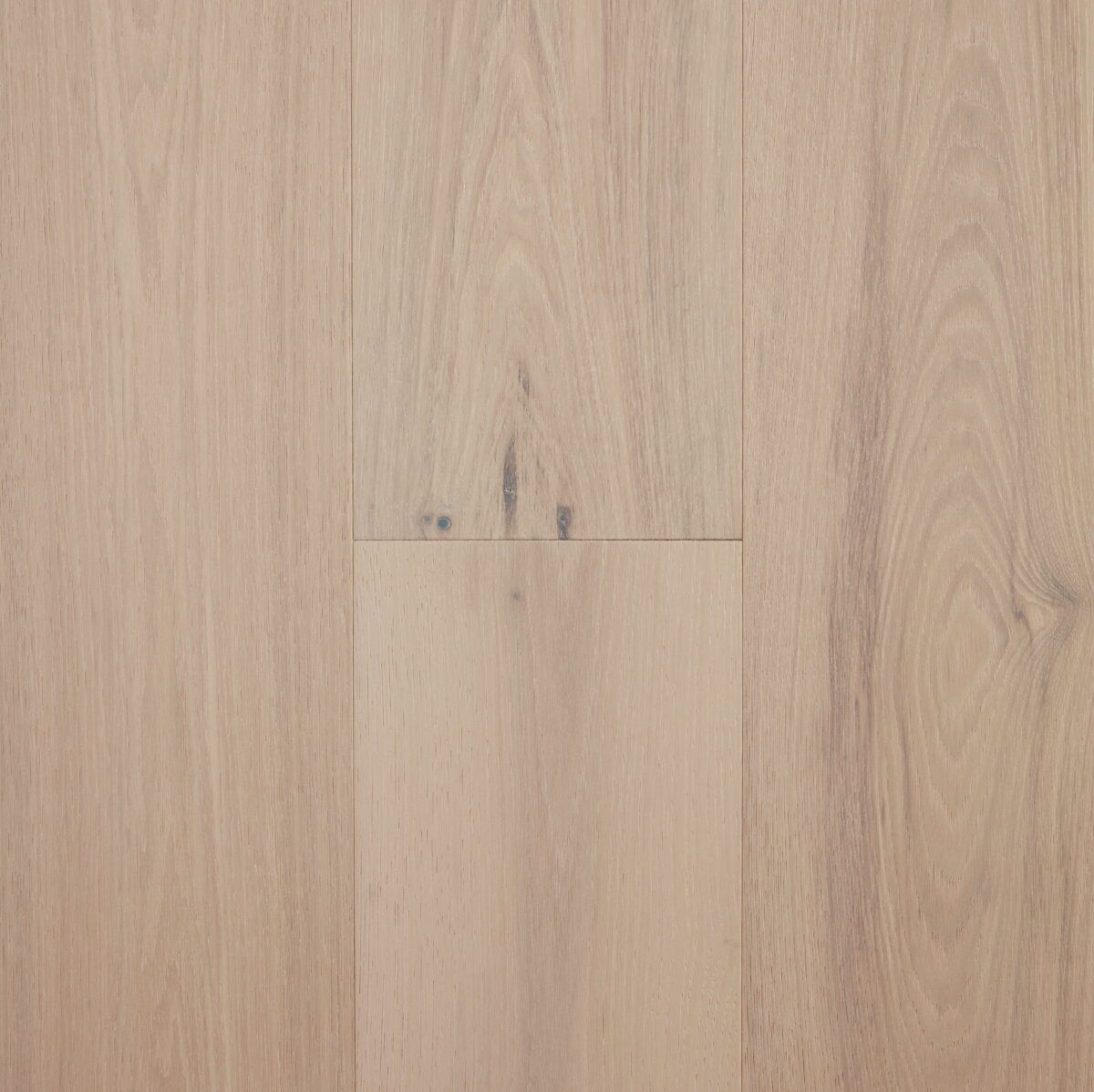 Timber Elk Falls - Snowdrift