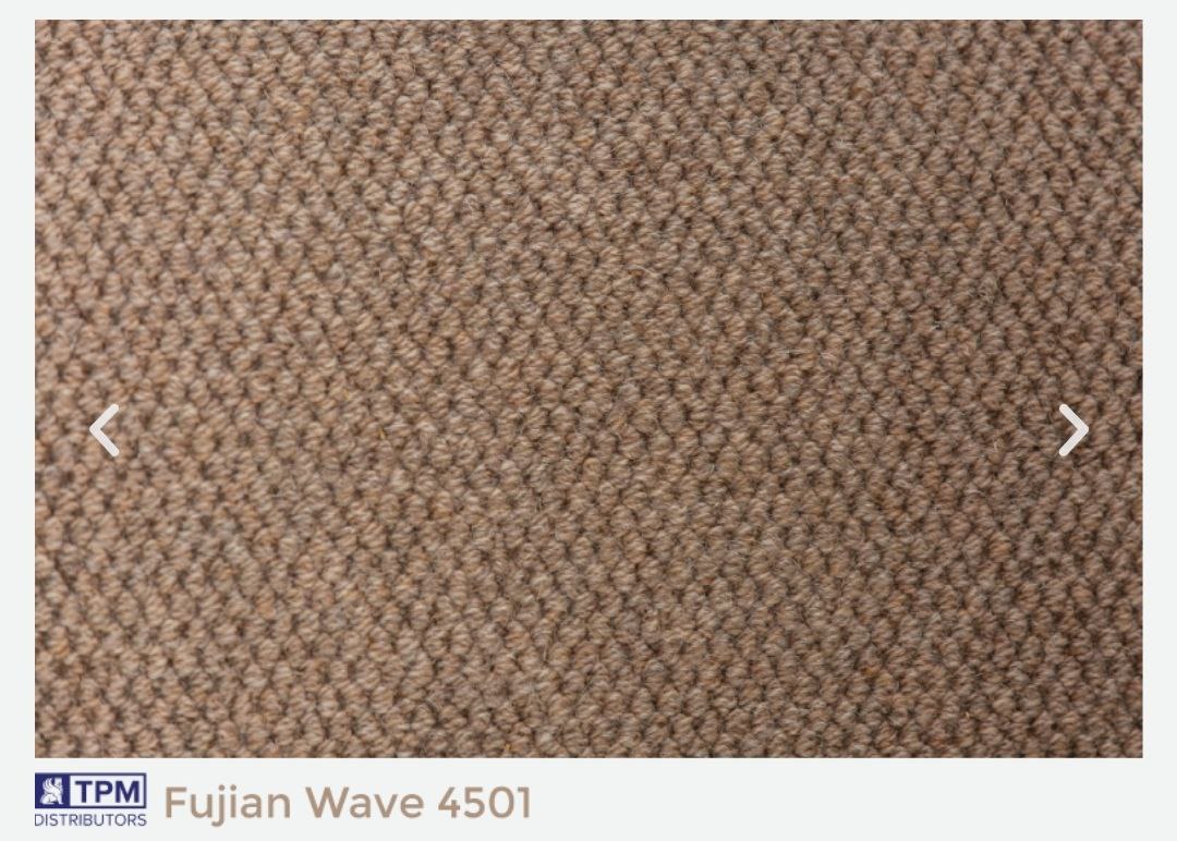 Fujian Wave 4501