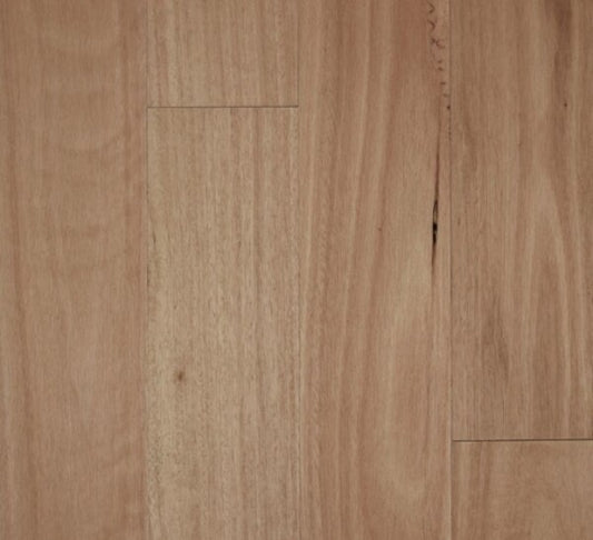 Timber Fiddleback - 13/2 BLACKBUTT, MB SMOOTH