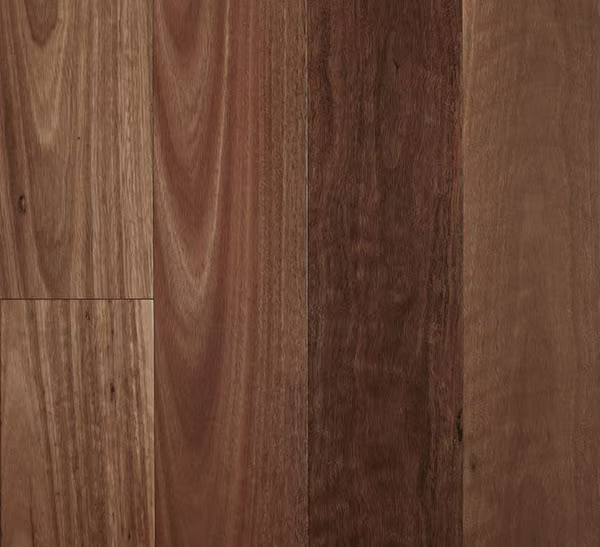 Timber Fiddleback - 13/2 SPOTTED GUM, MB SMOOTH