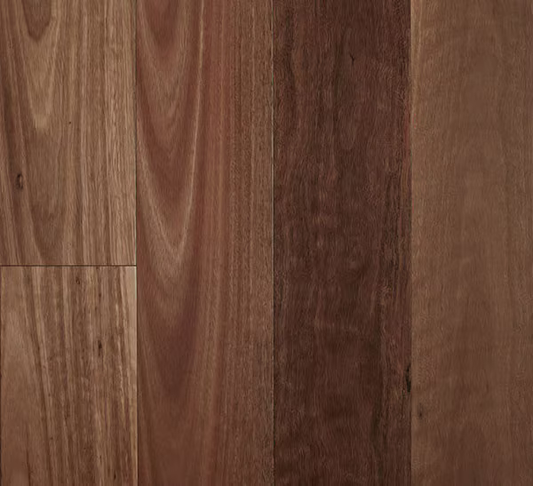 Timber Fiddleback - 13/2 SPOTTED GUM, MB SMOOTH