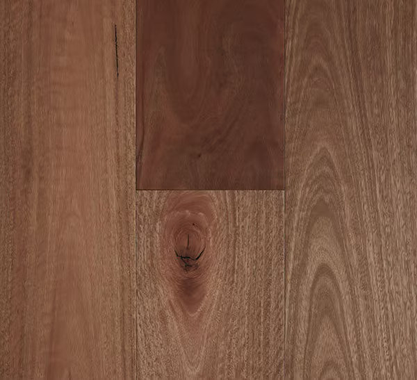Timber Fiddleback - Standard SPOTTED GUM SMOOTH 180X14/3