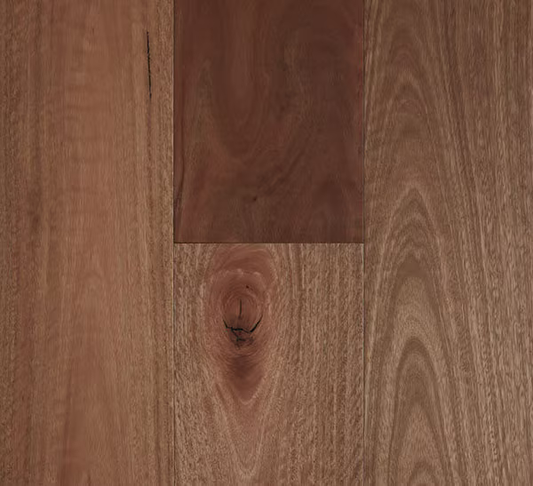Timber Fiddleback - Standard SPOTTED GUM SMOOTH 180X14/3