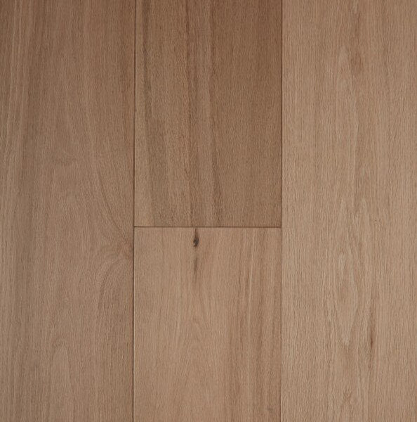 Oak Pronto - Parchment