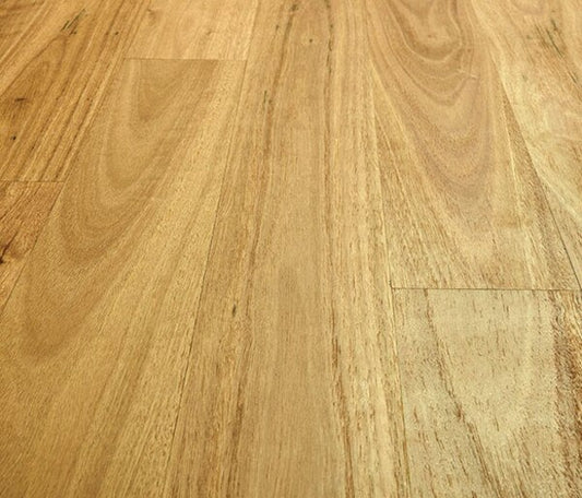Select Timber - Blackbutt 180mm Brush Matt