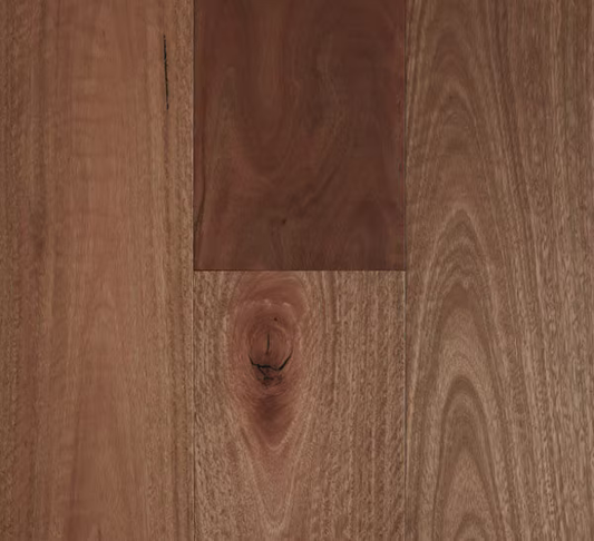 Timber Fiddleback - Spotted Gum, 10% Smooth Matte, 189x14/3 mm