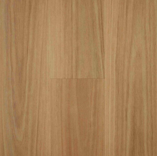 Hybrid Lifestyle Collection - Blackbutt
