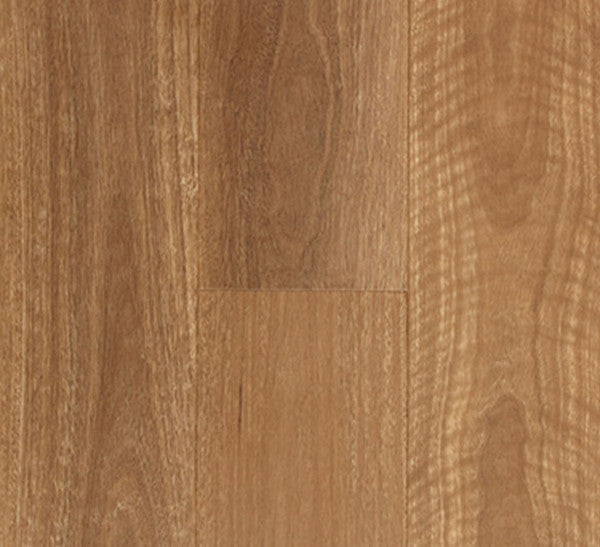 Hybrid Aspire - QLD Spotted Gum 8mm