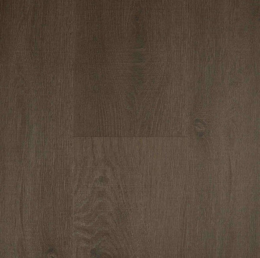 Hybrid Lifestyle Collection - Carbon