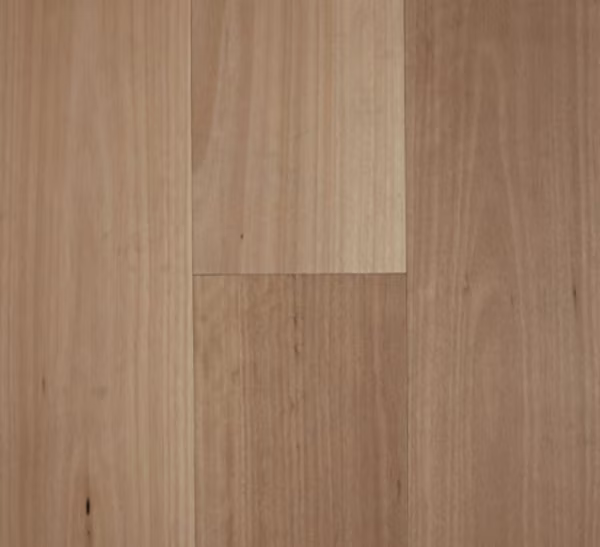 Timber Fiddleback - Blackbutt, 10% Smooth Matte, 189x14/3 mm